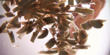 жюльен из грибов в волованах