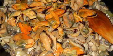 жюльен из мидий