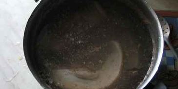 жюльен из языка с грибами