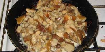 жюльен из языка с грибами